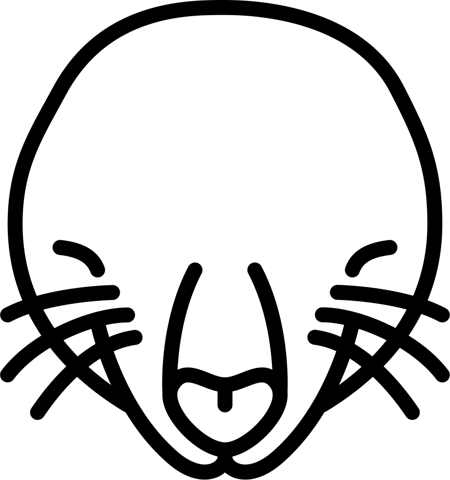 Mole Head Comments - Mole Head Cartoon (920x981), Png Download