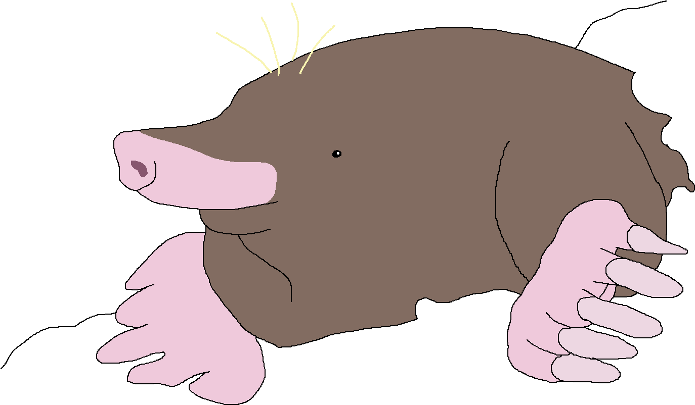 Mole (1625x1003), Png Download