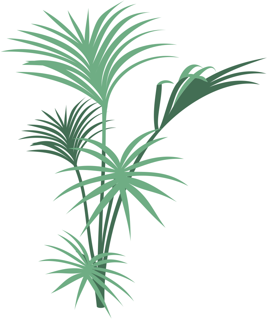 Transparent Plants Jungle - Jungle Plants Png Transparent (861x1028), Png Download