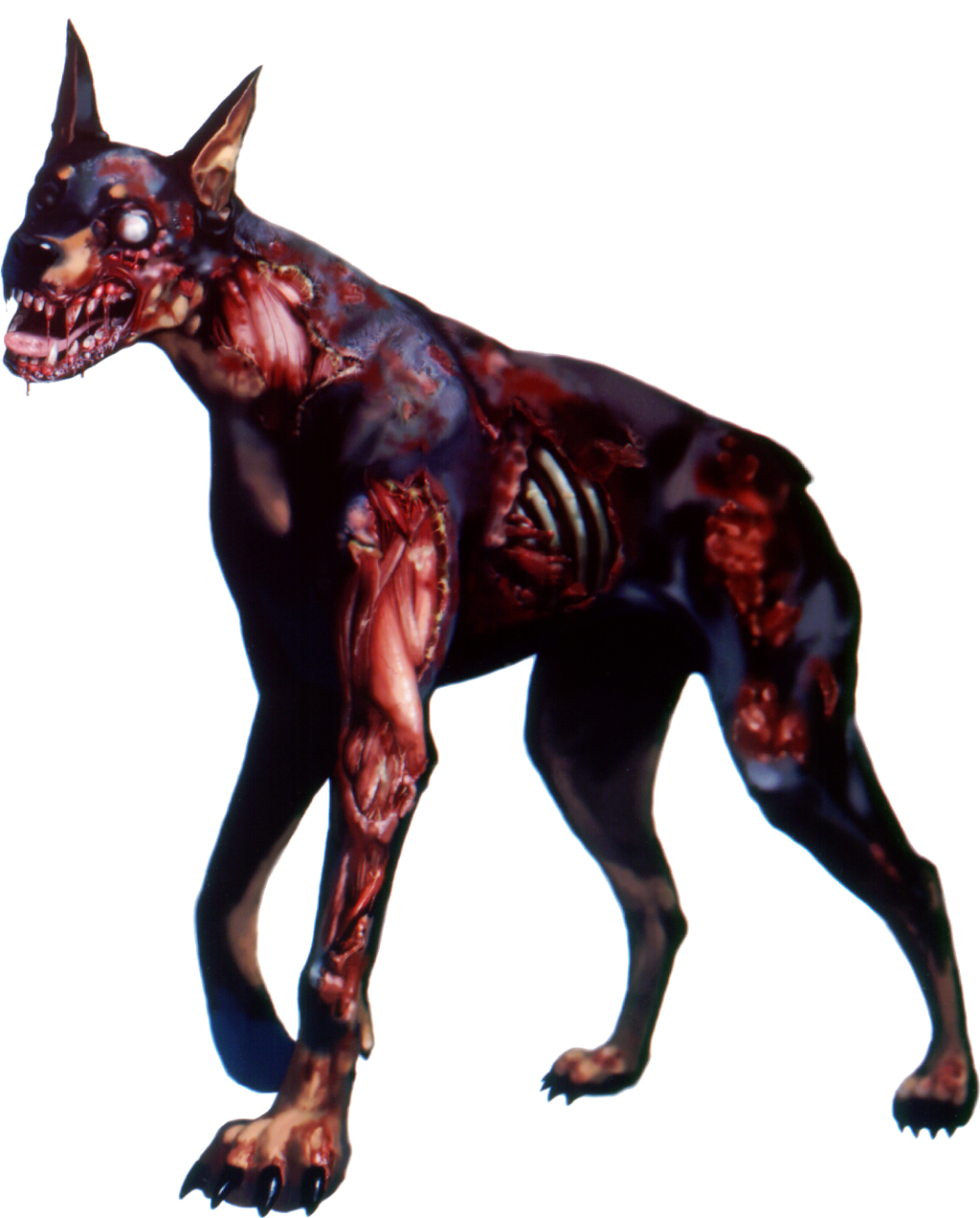 Report Abuse - Resident Evil Dog (1024x1273), Png Download