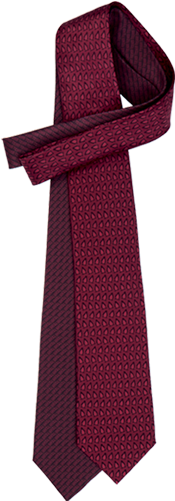 67 Corbata Roja - Little Penguin (250x500), Png Download