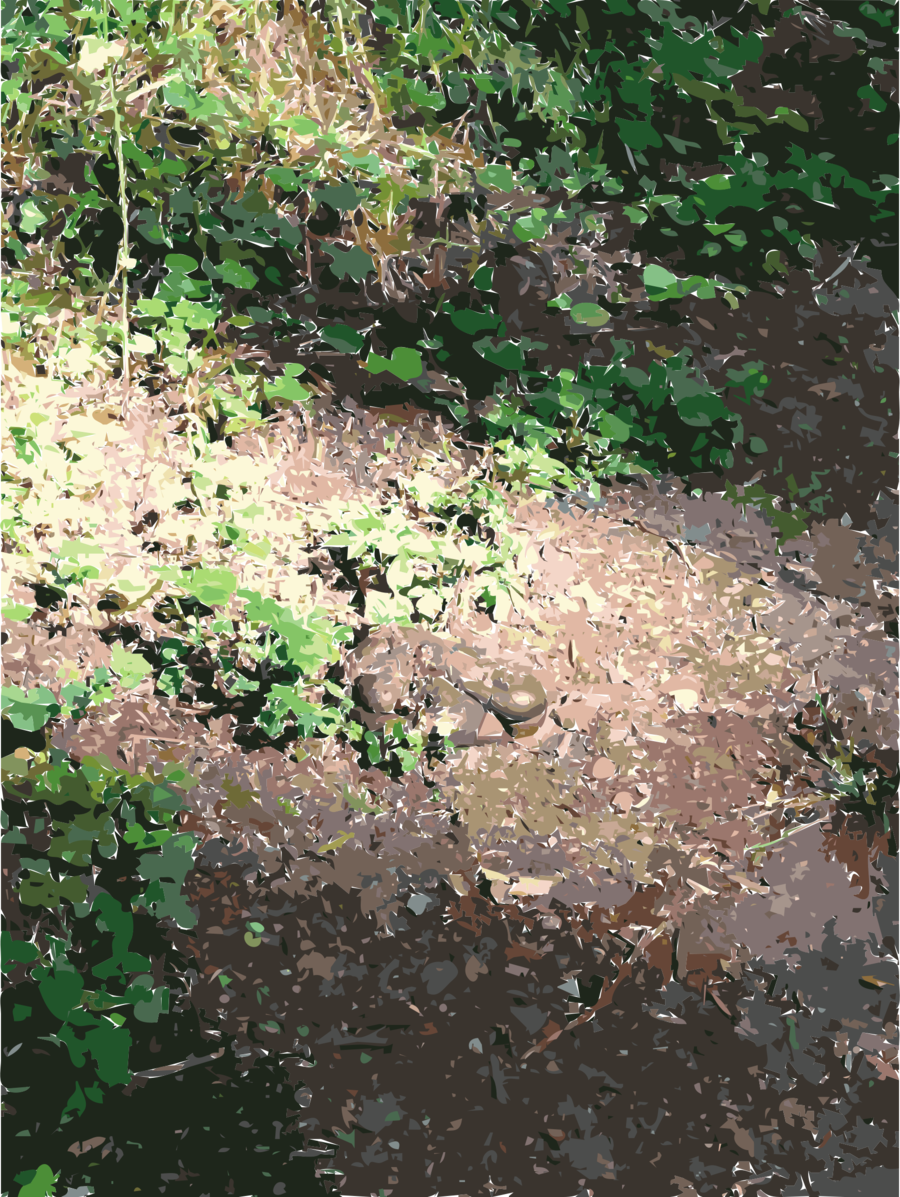 Vegetation Clipart Vegetation Lawn Clip Art - Vegetation (900x1197), Png Download