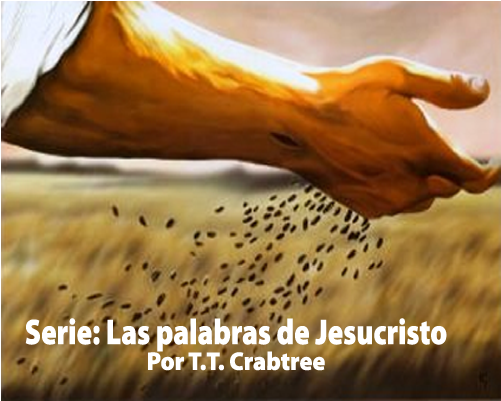Las Palabras De Jesucristo Serie - Sower Garrett Walker (500x500), Png Download