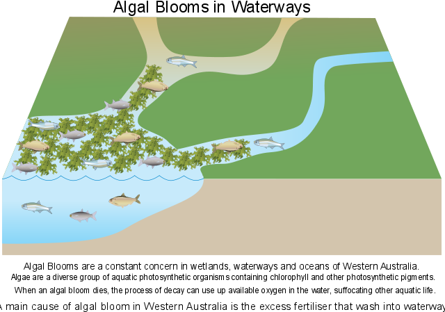 Map (640x449), Png Download