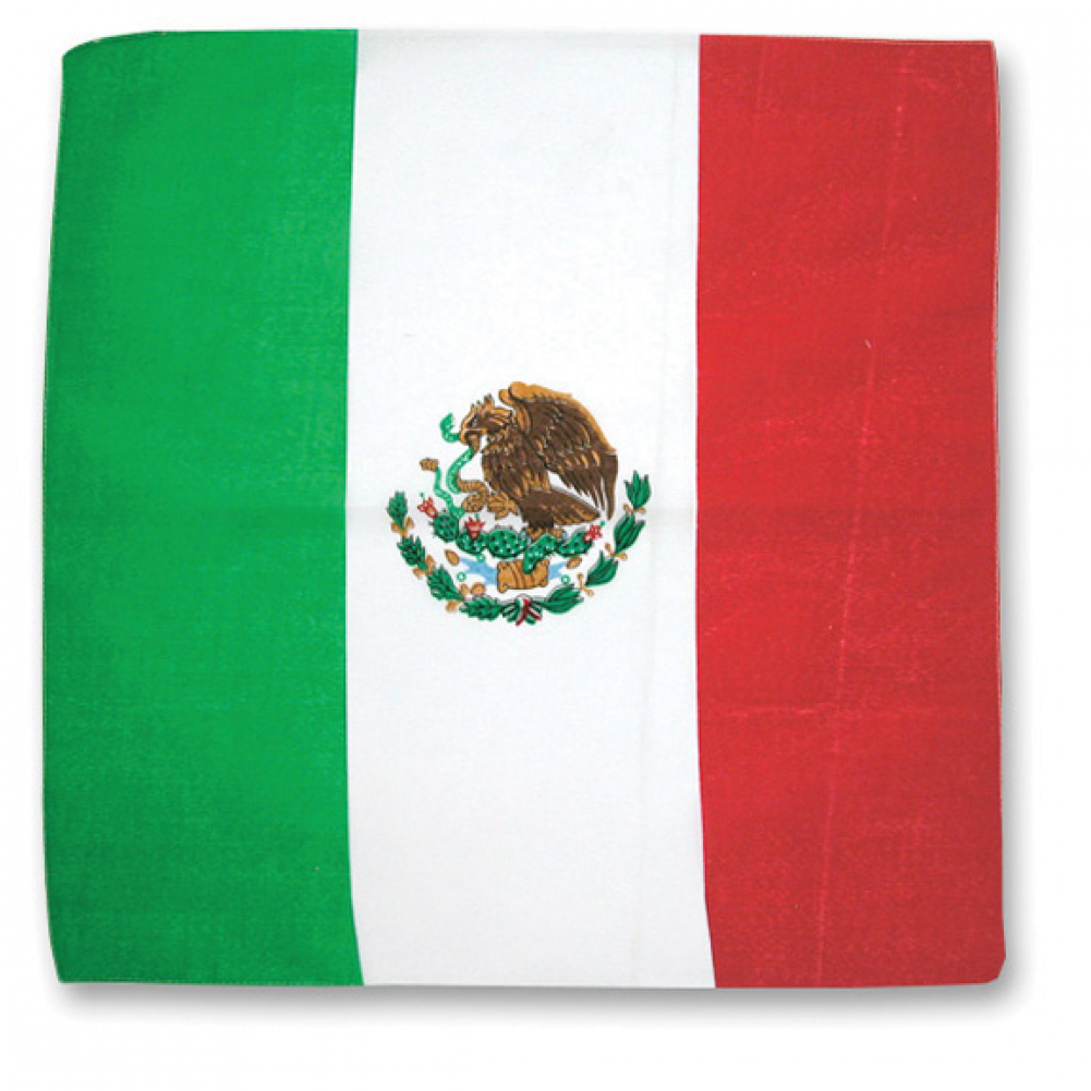 Mexican Flag Bandana - Mexican Flag (1000x1231), Png Download