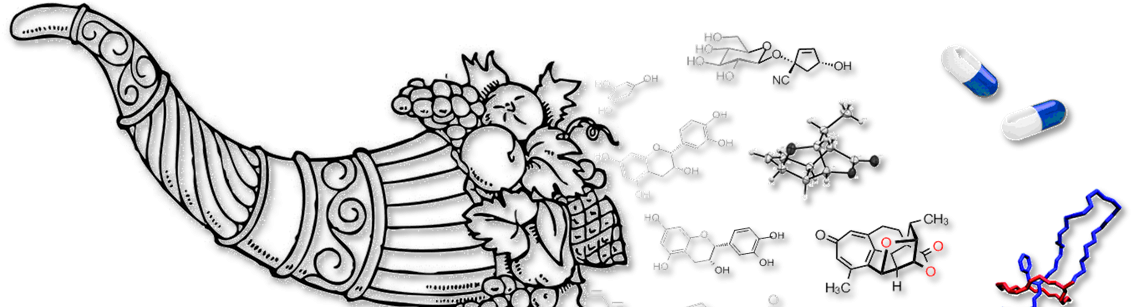 Cropped Cornucopia Copyright Bastien Nay - Clip Art (1189x310), Png Download