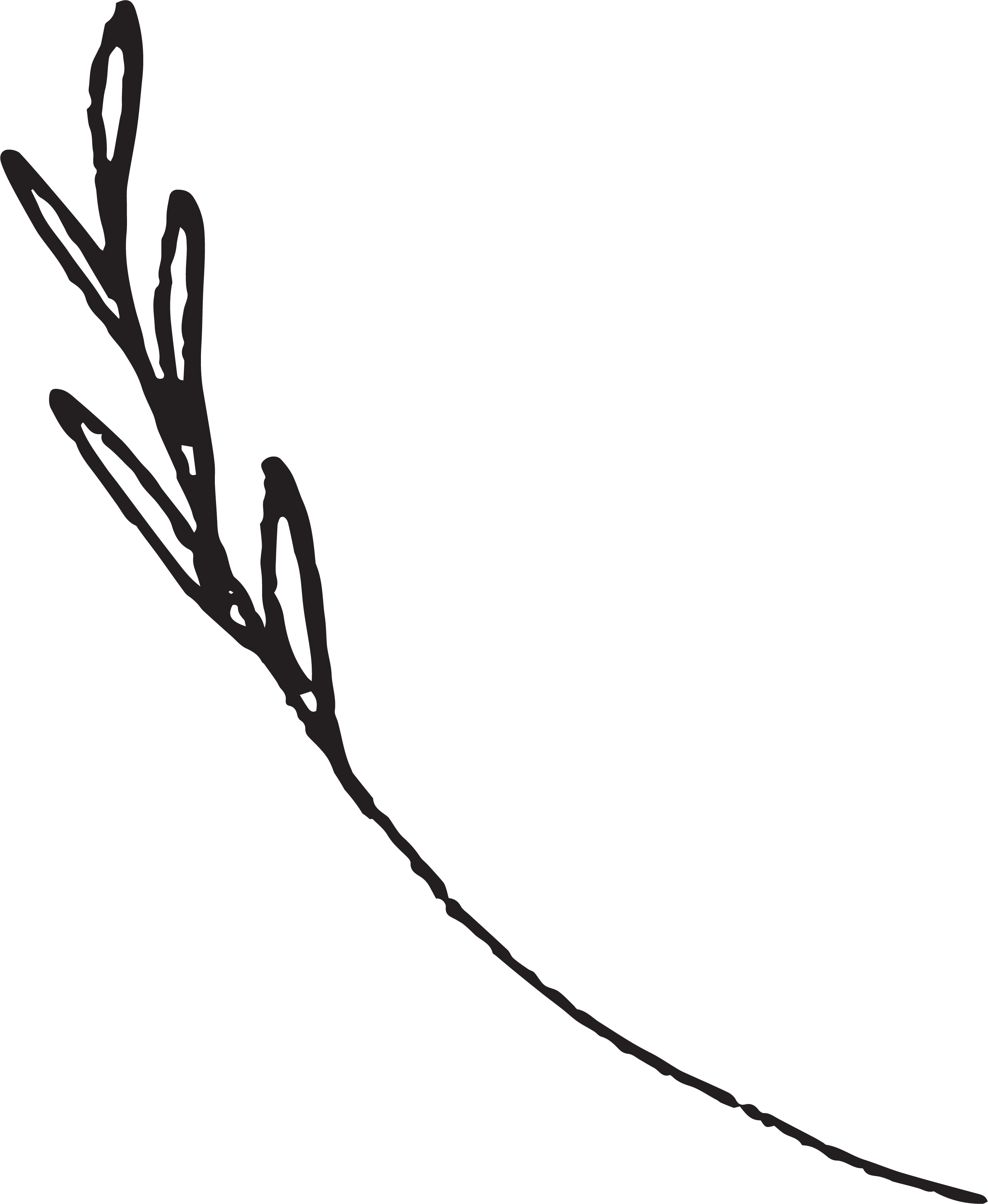 веточки березовые ,без листьев. ветка на прозрачном фоне. тонкие ветви. ветка без листьев. гипсофила 1 веточка.