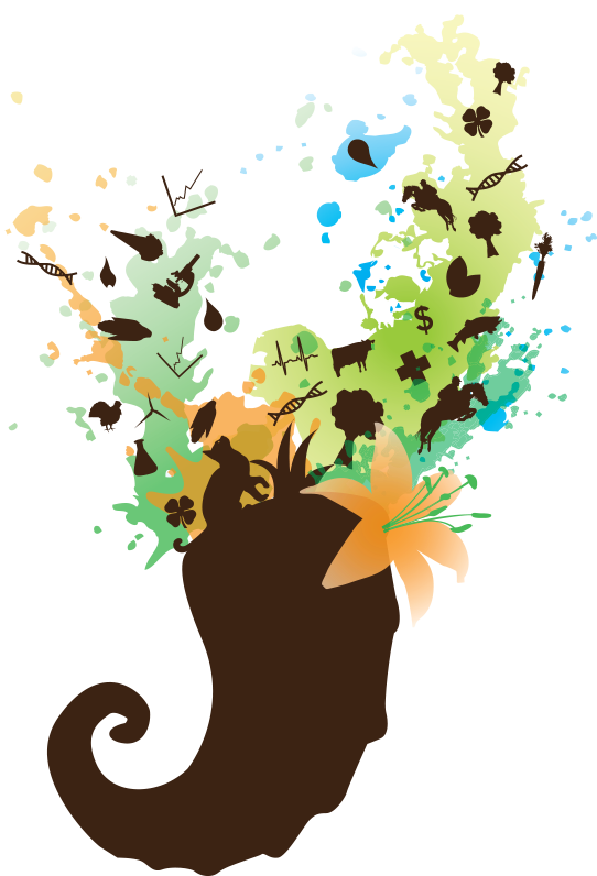 Complete The Cornucopia Challenge For A Prize And A - Cornucopia (542x796), Png Download