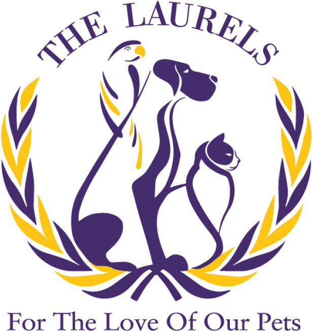 Gallery - Recep Tayyip Erdoğan (649x700), Png Download