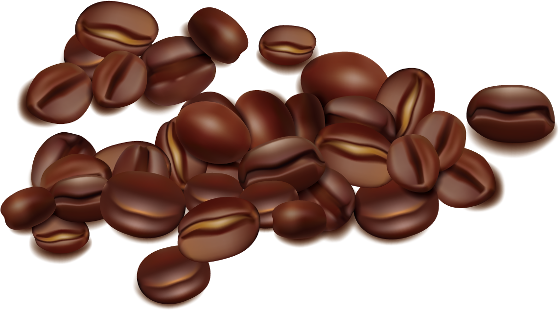 Coffee Bean Seed - Vector Semilla De Cafe (1200x1200), Png Download