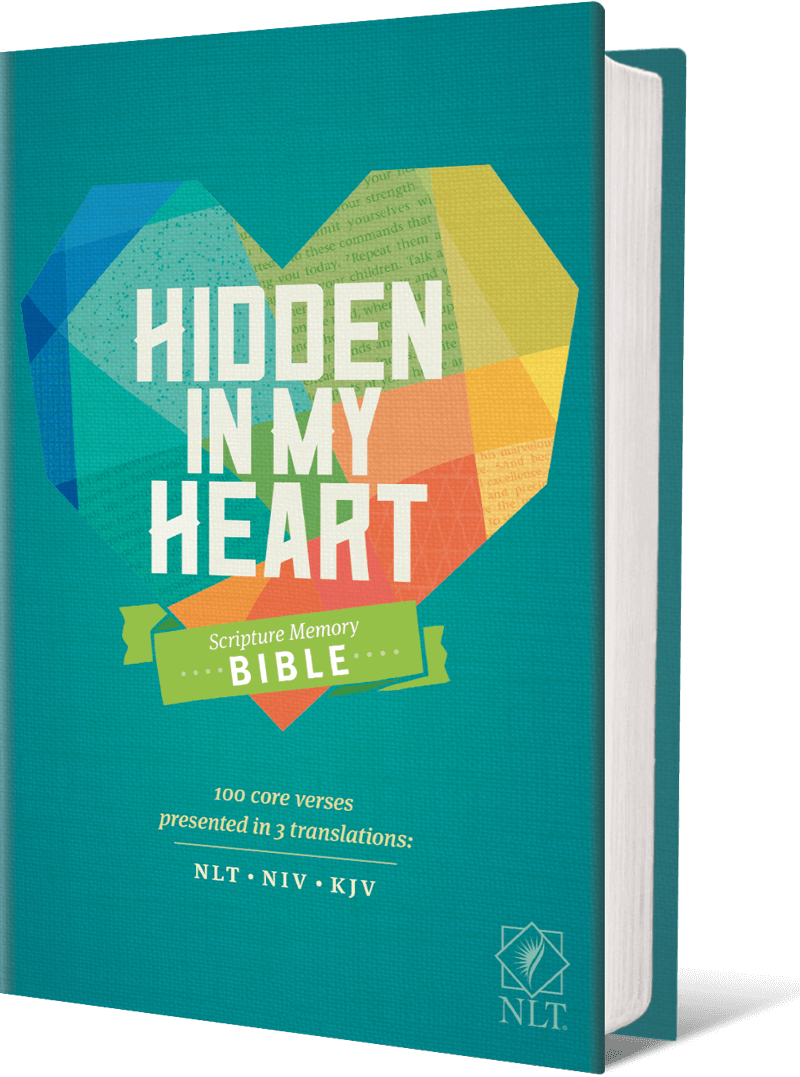 Hidden In My Heart Scripture Memory Bible Nlt Book - Hidden In My Heart Scripture Memory Bible Nlt (761x1024), Png Download