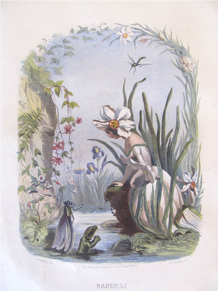 Antique Grandville Print Lady Flowers Engraving With - Art Print: Narcisse : 17x11in (1023x1023), Png Download