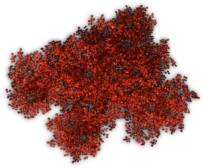 Autumn Jrl10 06 Feb 2009 - Shrubs Top View Png (723x638), Png Download