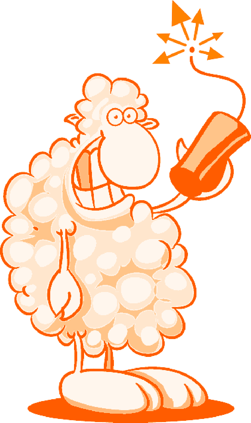 Mb Image/png - Sheep (800x1350), Png Download