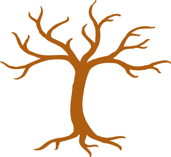 Tree Tall No Leaves Clip Art - Tree With No Leaves (600x550), Png Download