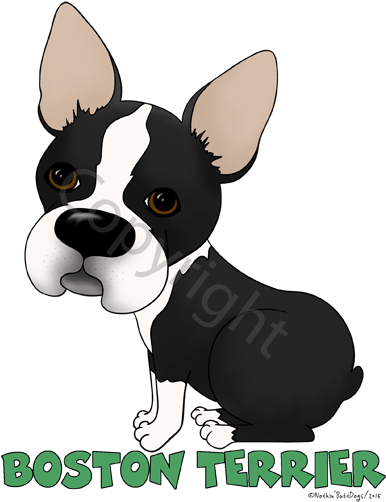 Big Nose Boston Terrier Women's Tank Top - Boston Terrier (400x518), Png Download