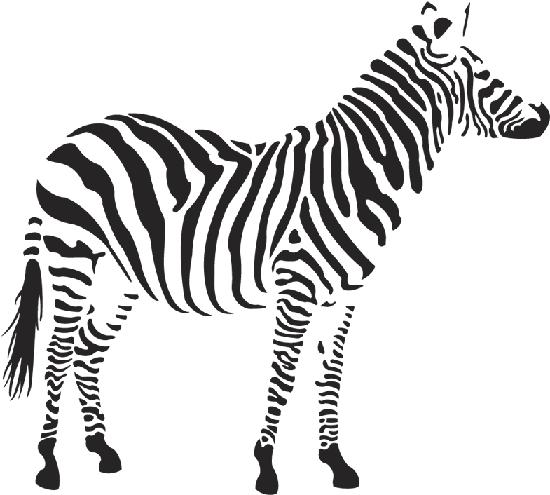 Free Png Zebra Png Images Transparent - Zebra Png (480x480), Png Download