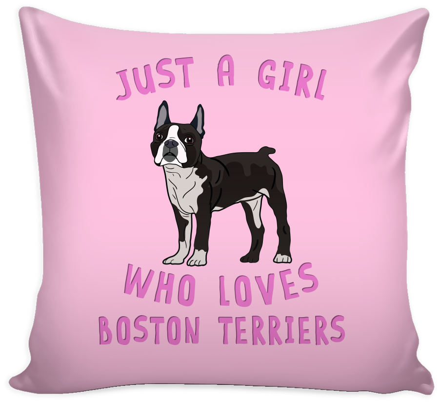 Dog Lover Pillow Cover - Boston Terrier (1024x1024), Png Download