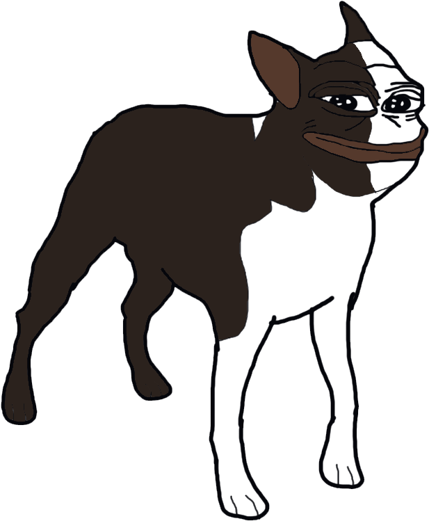 First Ever Boston Terrier Pepe - Boston Terrier (1040x760), Png Download