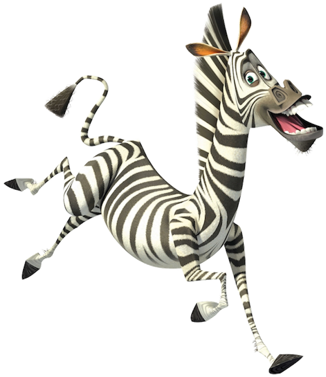 Marty The Zebra - Madagascar Zebra (671x768), Png Download