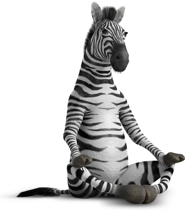 Zebra - Pen And Ink Zebra (597x700), Png Download