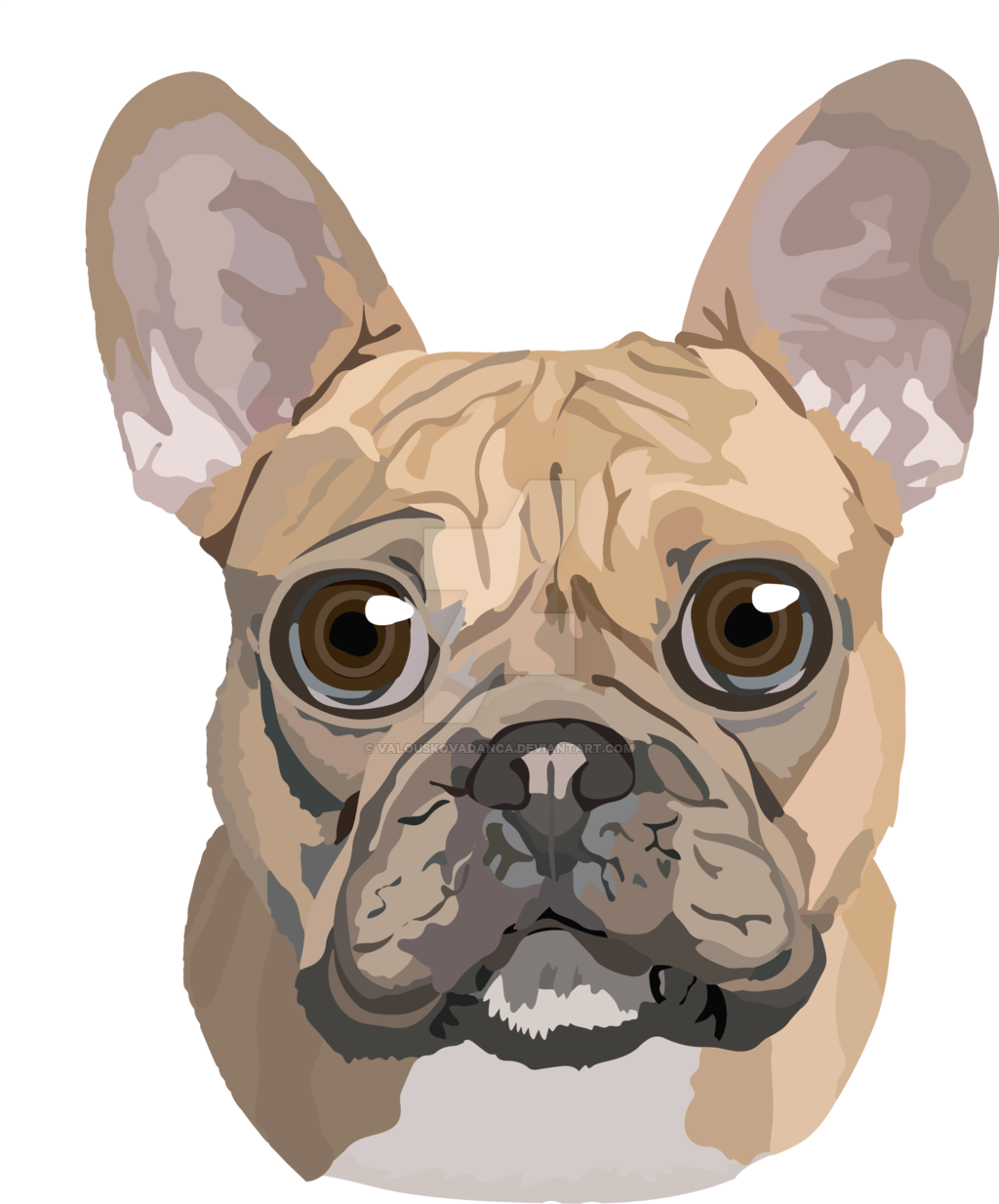 Image Library Stock French Toy Boston Terrier Pug Transprent - French Bulldog Cartoon Png (1024x1233), Png Download