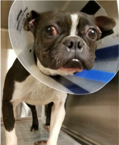 Baby Girl - Infant (640x480), Png Download