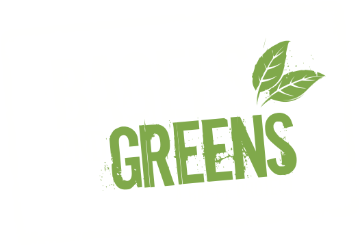 Bagels Green Logo White2x - Bagels And Greens (526x360), Png Download