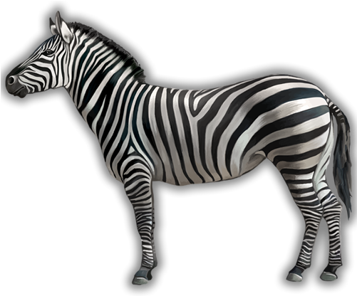 More Images & Video - Zebra With White Background (500x500), Png Download