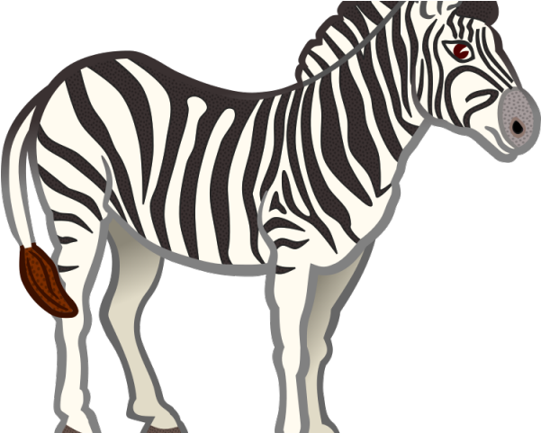 Zebra Png Transparent Images - Zebra Clip Art Png (640x480), Png Download