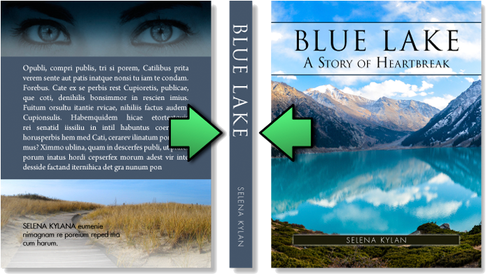 Book Cover Layout - Spine Of A Book Cover (700x449), Png Download