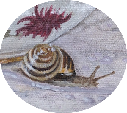 Why Not Bring Out Old Family Heirlooms From The Back - Shell (427x379), Png Download