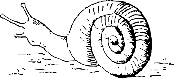 Free Vector Snail Clip Art - Snail Clip Art (600x268), Png Download