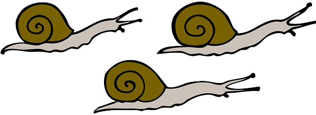Cartoon, Movement, Snails, Moving, Slow, Shells, Slime - Snails Clipart (640x320), Png Download