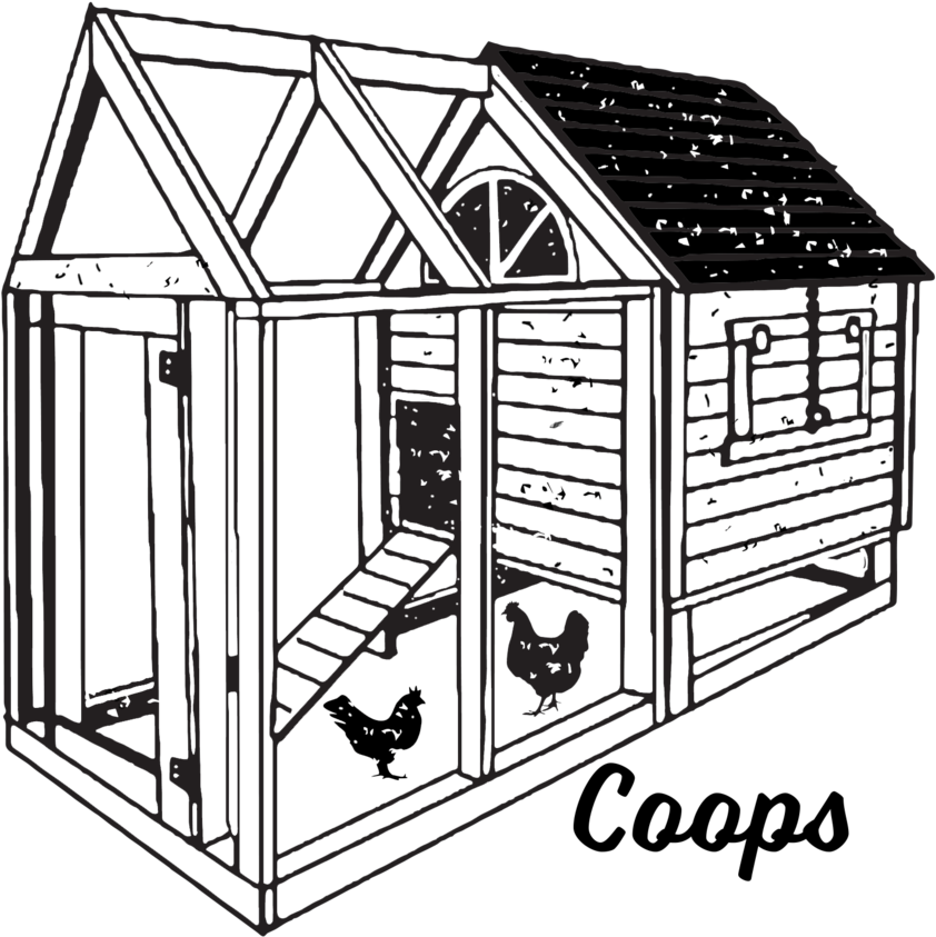 Coops - Portable Network Graphics (1000x1000), Png Download