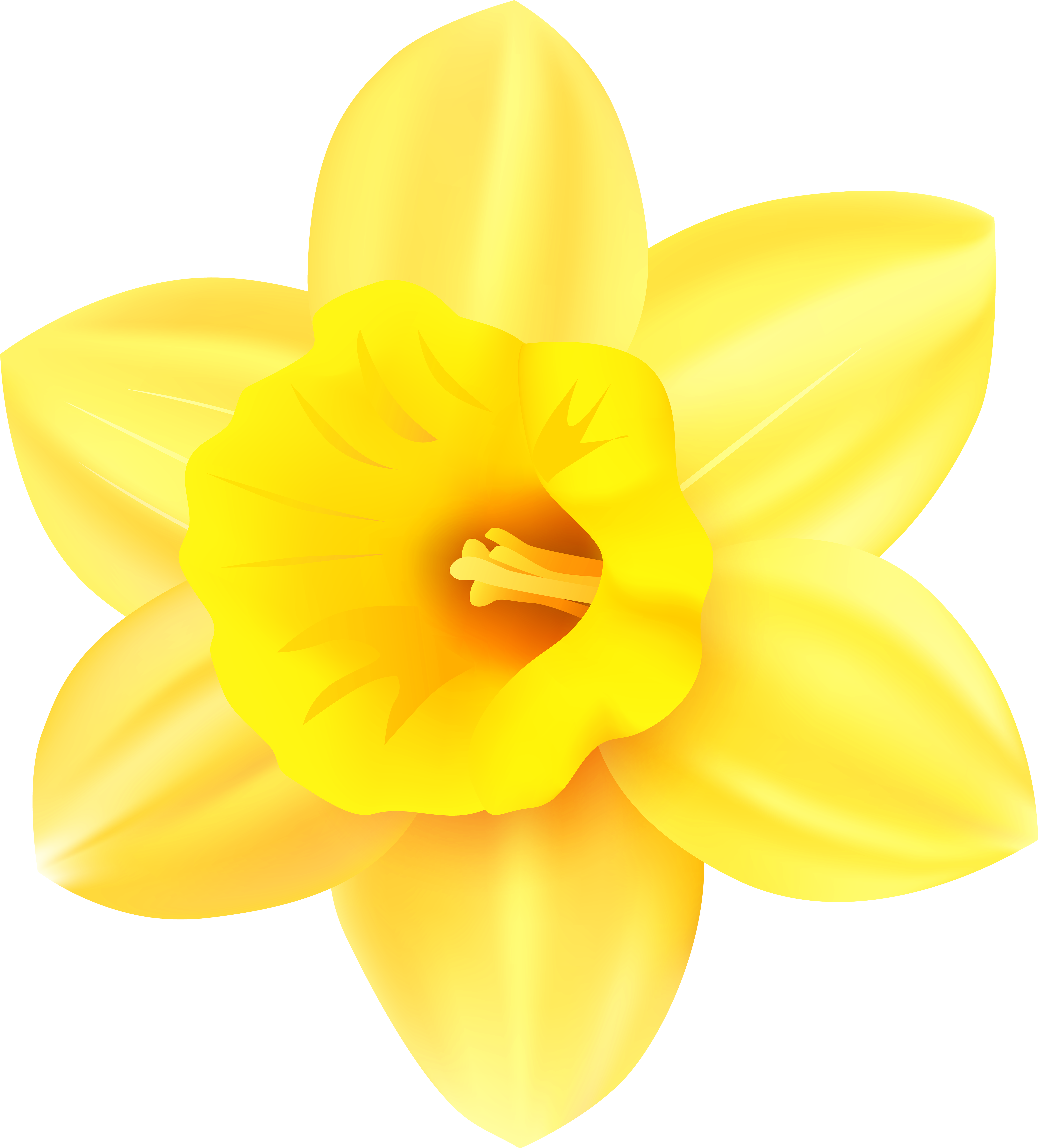 Daffodil Clipart Png (5502x6000), Png Download