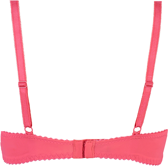 Bra (800x740), Png Download