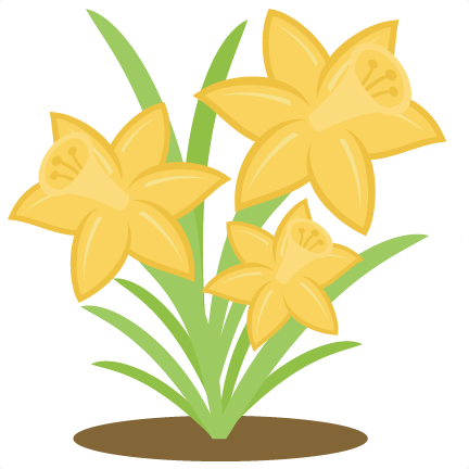 Png Stock Svg Free On Dumielauxepices Net - Spring Daffodils Transparent Background (432x432), Png Download