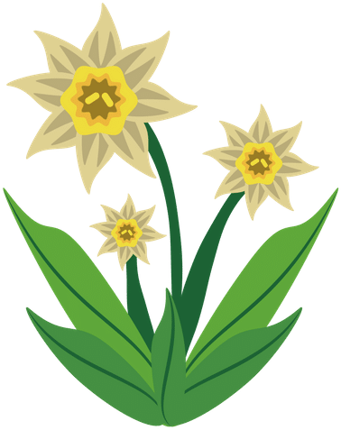 Daffodil - 0shares - Vector Graphics (500x500), Png Download
