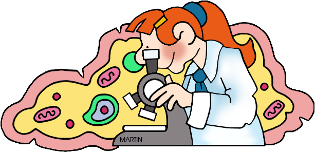 Science Clipart Play - Cells Clip Art (648x337), Png Download