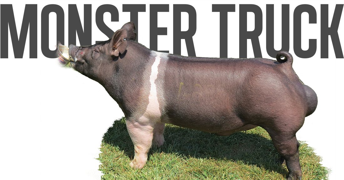 Monster Pipe X Big Stick - Hotel (1131x576), Png Download