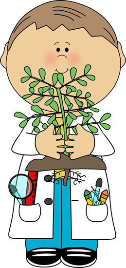 Plant Science Cliparts - Clipart Science Kids (259x550), Png Download