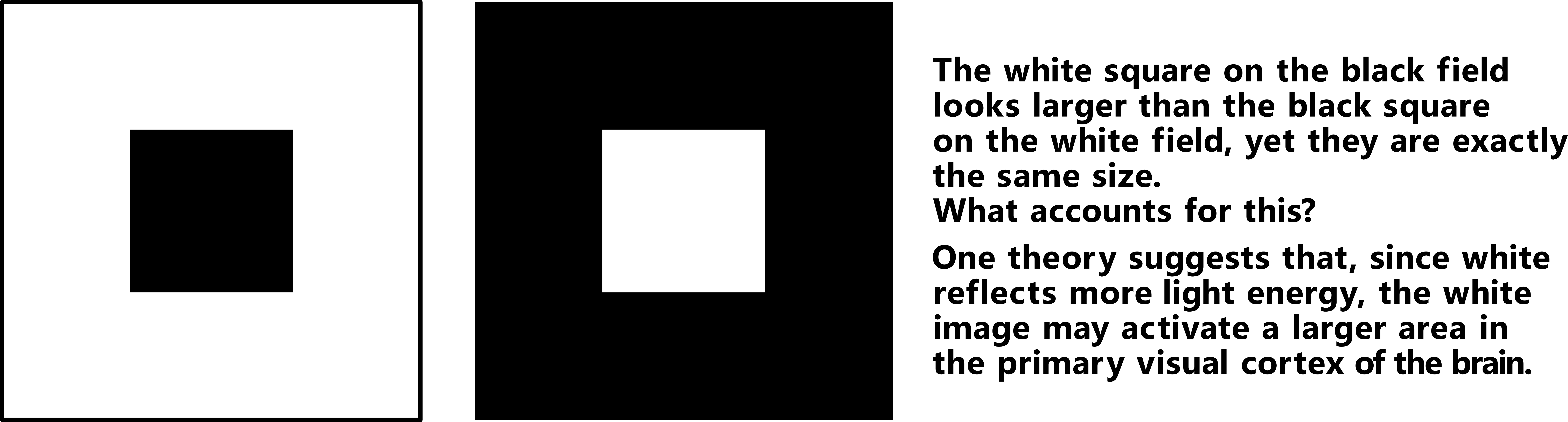 006 - Irradiation Illusion (7615x2052), Png Download