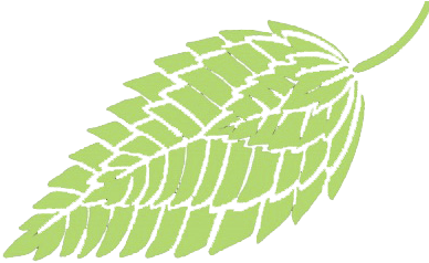 Vector Transparent Cleaning - Vector Graphics (388x388), Png Download