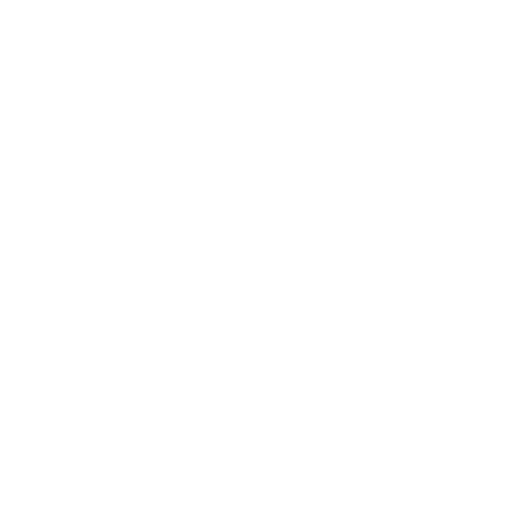 Mandala Yogatribe Logo White - Circle (570x566), Png Download