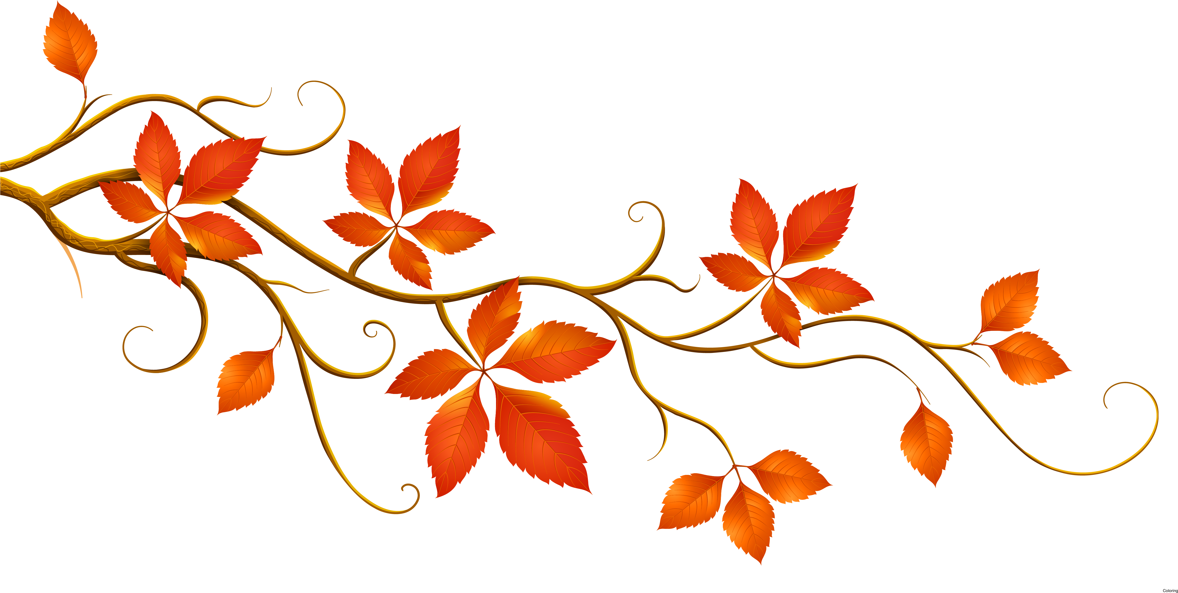 Mint Clipart 3 Leave - Fall Leaves Clip Art (4912x2579), Png Download