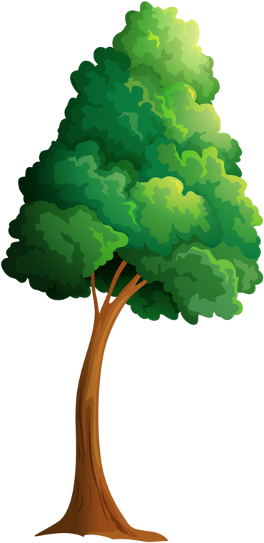 11 - Ashoka Tree In Cartoon (456x800), Png Download