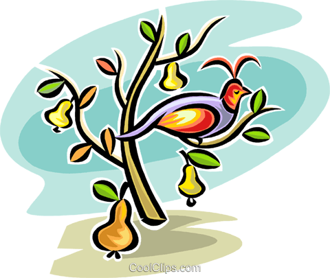 Partridge In A Pear Tree (480x405), Png Download
