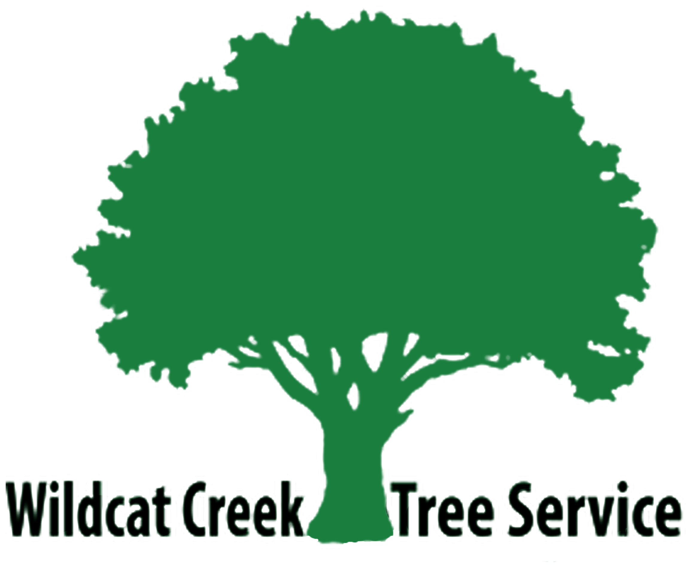 Oak Tree Silhouette Png (2564x2028), Png Download