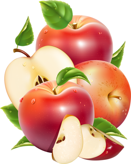Ljq Od Vdct - Fruit Art Clipart Png (555x693), Png Download